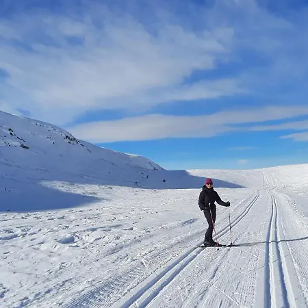 Lys I Aurdal, 500m Til Valdres Alpinsenter 度假居