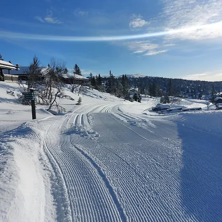 度假居 Lys I Aurdal, 500m Til Valdres Alpinsenter