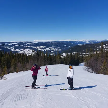Lys I Aurdal, 500m Til Valdres Alpinsenter 度假居 *