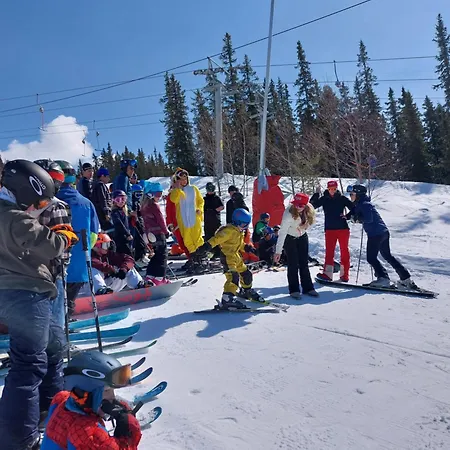 Lys I Aurdal, 500m Til Valdres Alpinsenter
