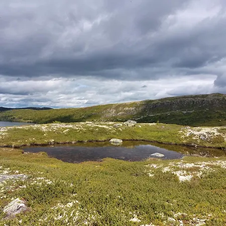 Lys I Aurdal, 500m Til Valdres Alpinsenter 度假居 *