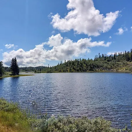 Lys I Aurdal, 500m Til Valdres Alpinsenter 度假居